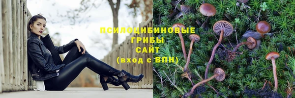 PSILOCYBIN Гусь-Хрустальный