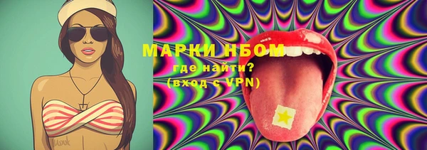 PSILOCYBIN Гусь-Хрустальный