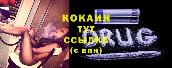 PSILOCYBIN Гусь-Хрустальный