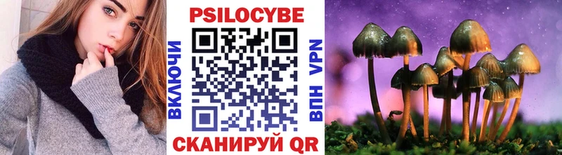 Галлюциногенные грибы мицелий  Дно 