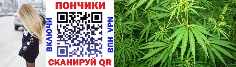 Конопля Amnesia  Дно 